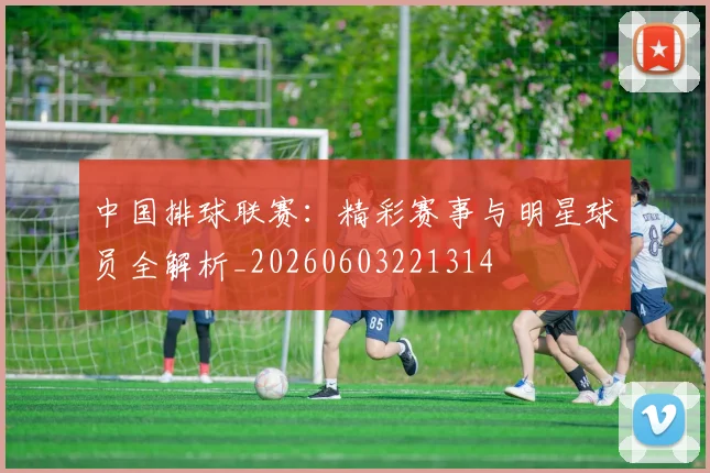 中国排球联赛:精彩赛事与明星球员全解析_20260603221314