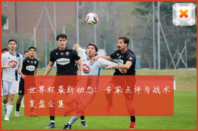 世界杯最新动态：专家点评与战术复盘合集