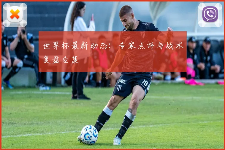 世界杯最新动态:专家点评与战术复盘合集