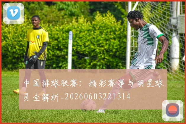 中国排球联赛:精彩赛事与明星球员全解析_20260603221314